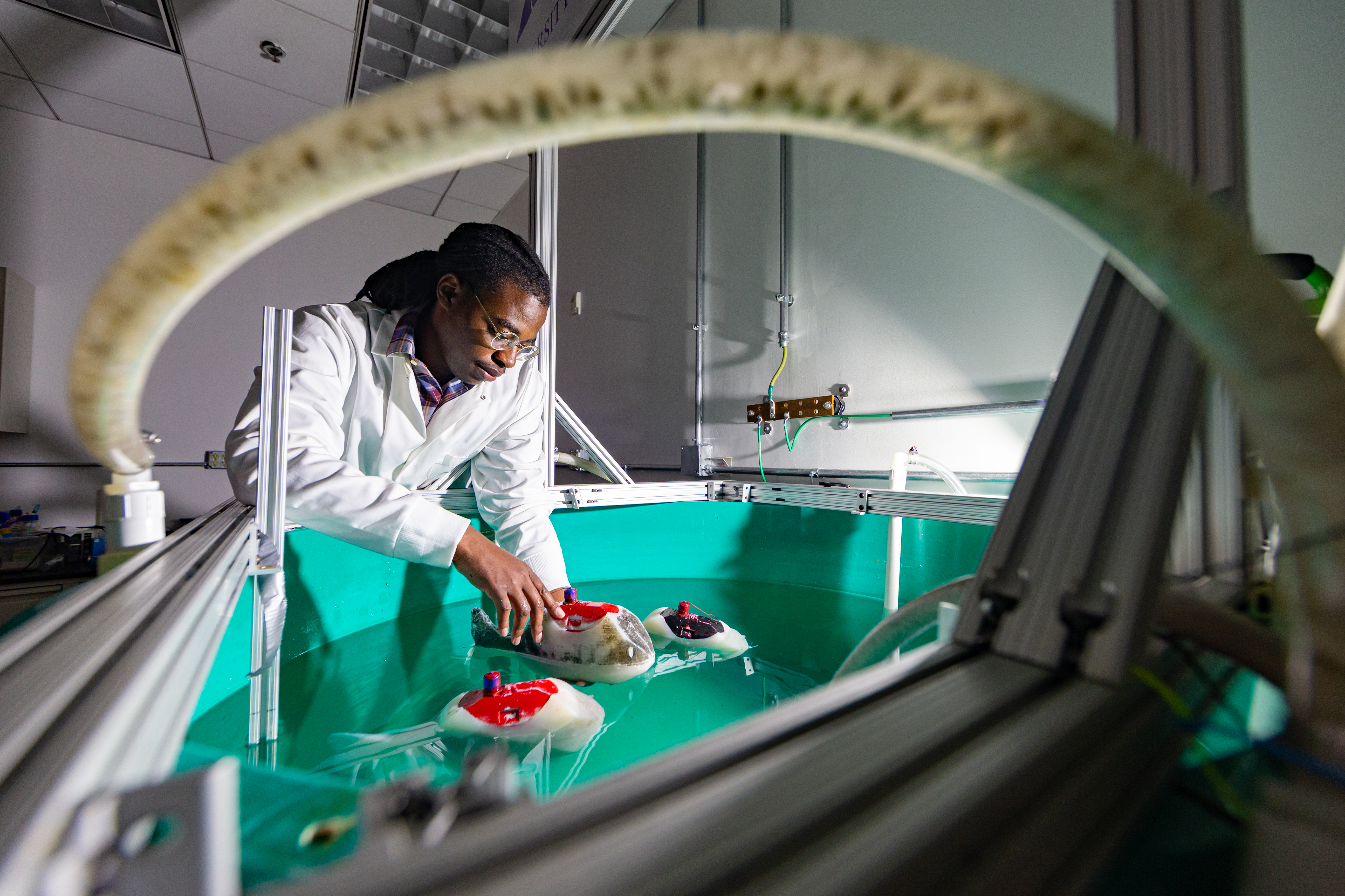 A researcher stands over a water tank holding a robotic 3D printed fish in the water